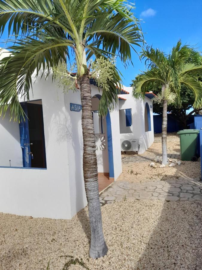 Caribbean Chillout Apartments Playa Exterior foto