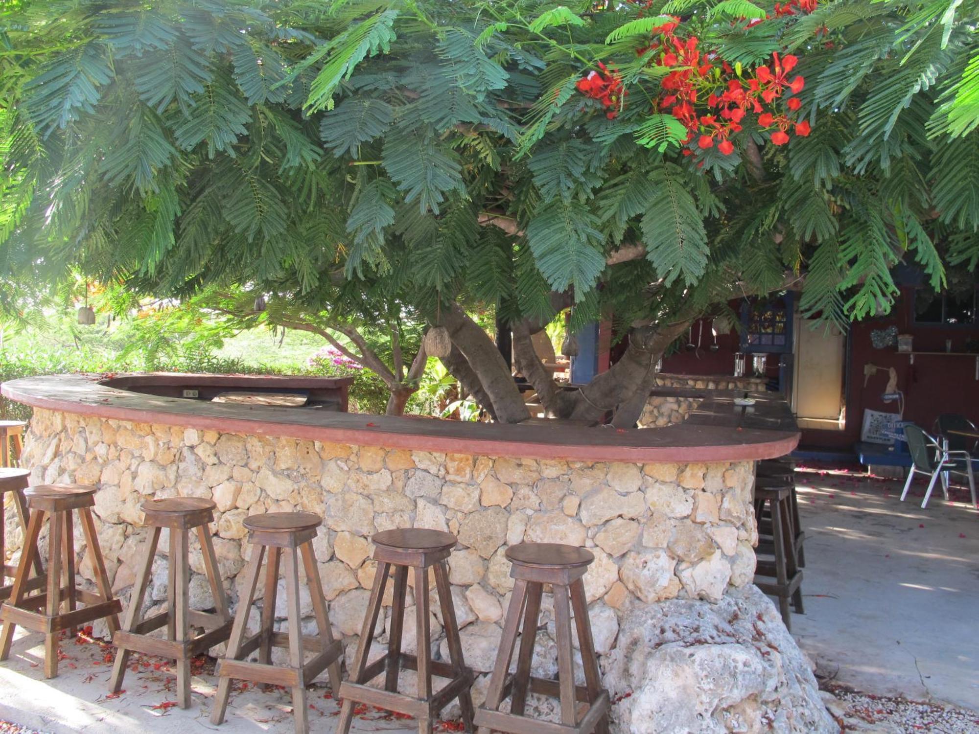 Caribbean Chillout Apartments Playa Exterior foto