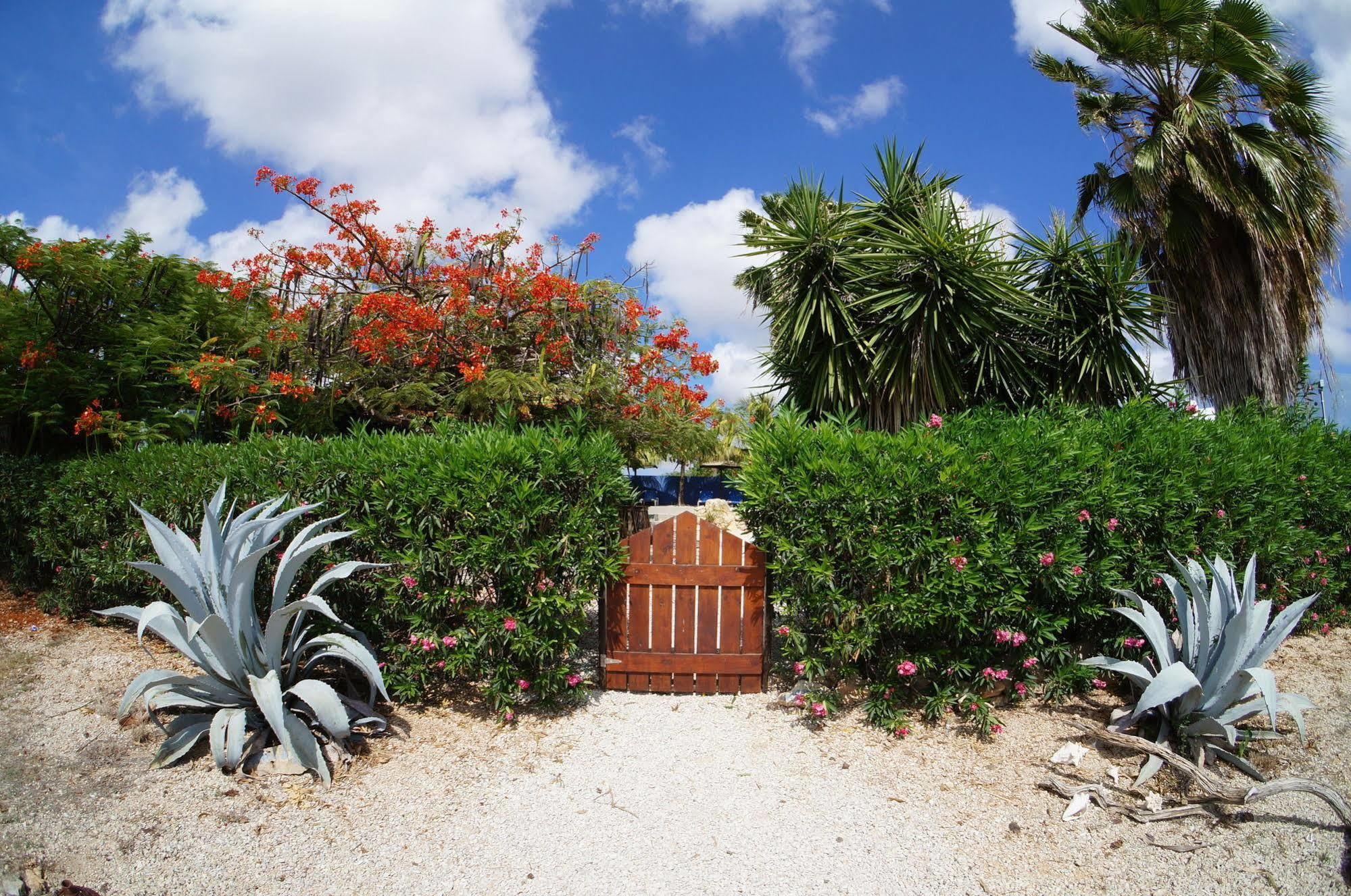 Caribbean Chillout Apartments Playa Exterior foto