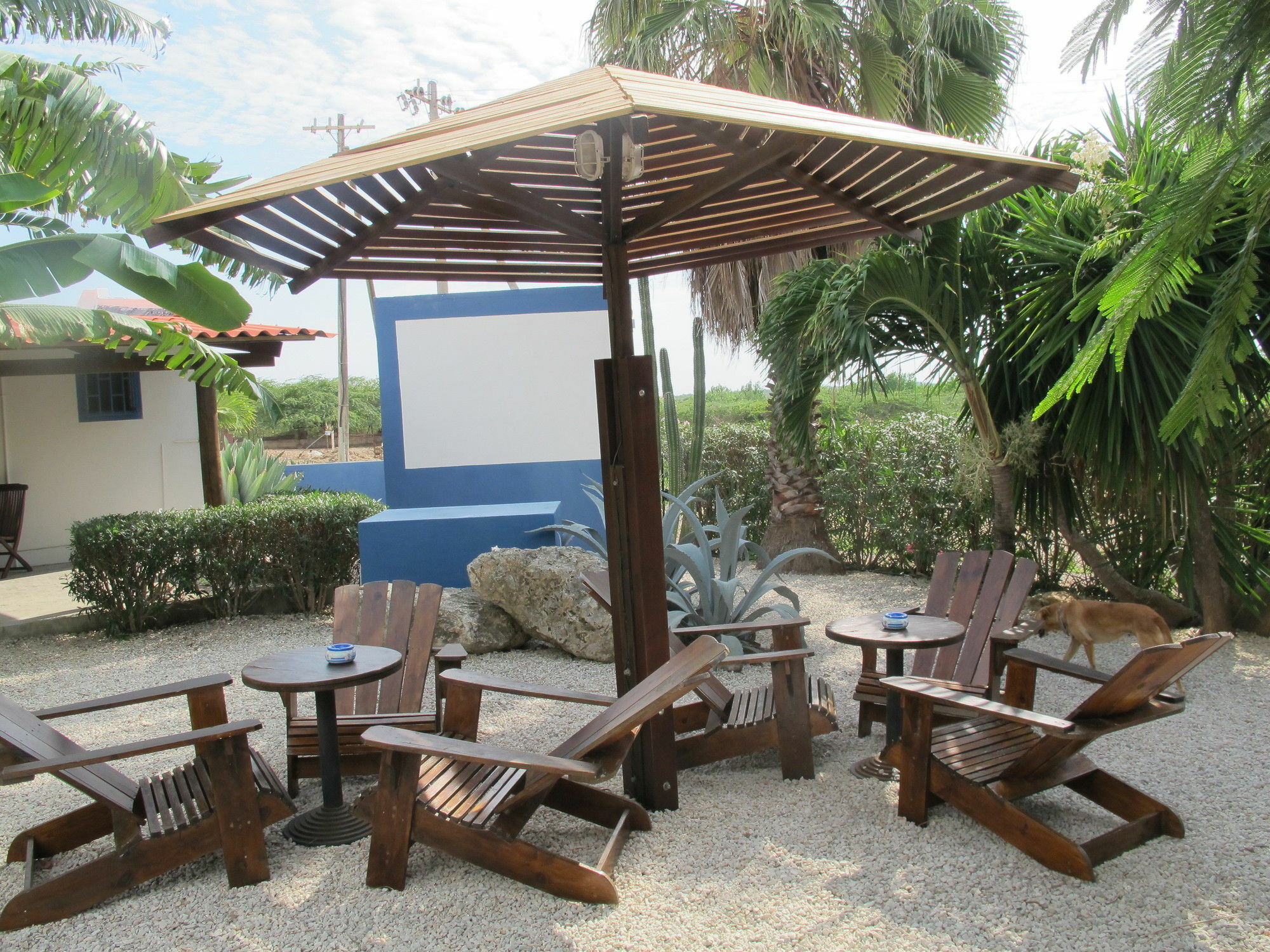 Caribbean Chillout Apartments Playa Exterior foto
