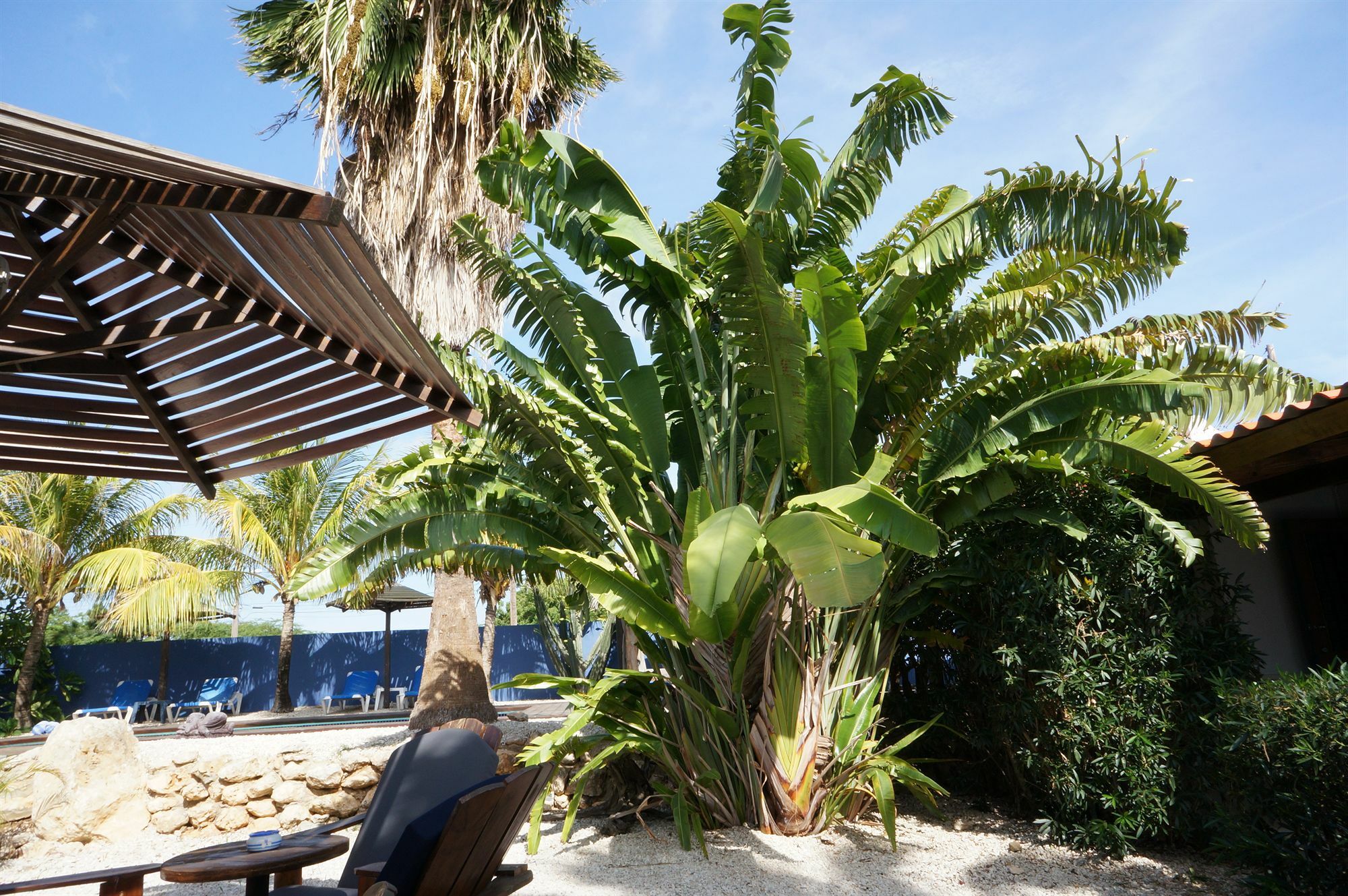 Caribbean Chillout Apartments Playa Exterior foto